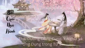 Thái Âm Thái Dương Đồng Cung: Ý Nghĩa và Ứng Dụng trong Tử Vi