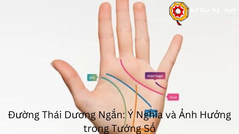 Đường Thái Dương Ngắn: Ý Nghĩa và Ảnh Hưởng trong Tướng Số